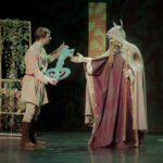 Spectacle "Merlin, l'apprenti enchanteur"